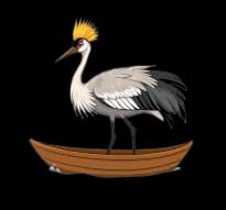 Crane riding a dinghy