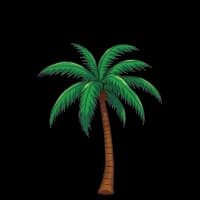 Palm tree illustration